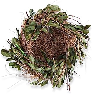 K&K Interiors 13850A 5.5 Inch Boxwood & Grass Nest, Brown