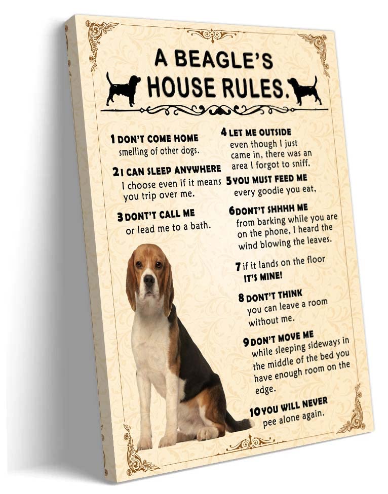 Can You Leave A Beagle Home Alone