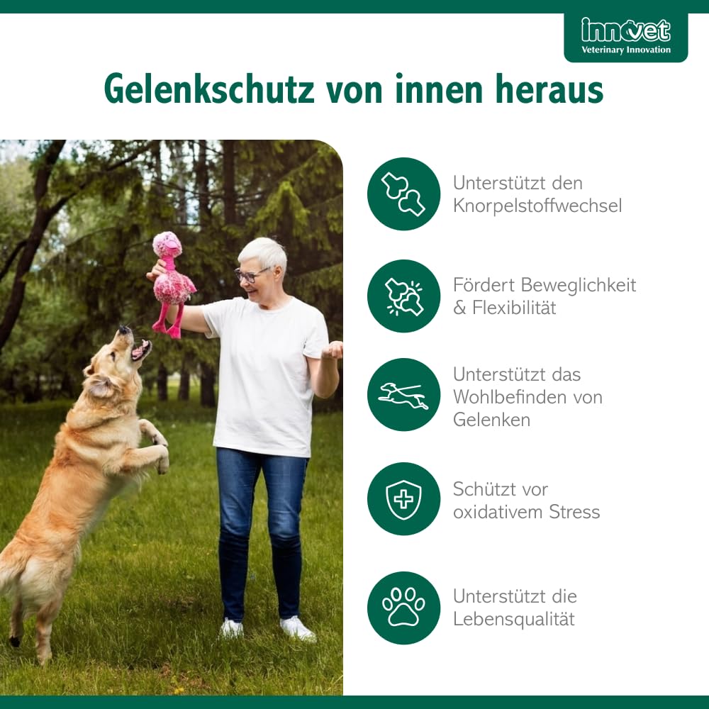 Condrostress Mobility Soft Chews für Gelenkunterstützung bei Hunden, 90 St. | Für Knorpelstoffwechsel & Beweglichkeit, Mit Eierschalenmembran, Boswellia Serrata & Vitamin C + E, Erwachsene & Senior Hunde