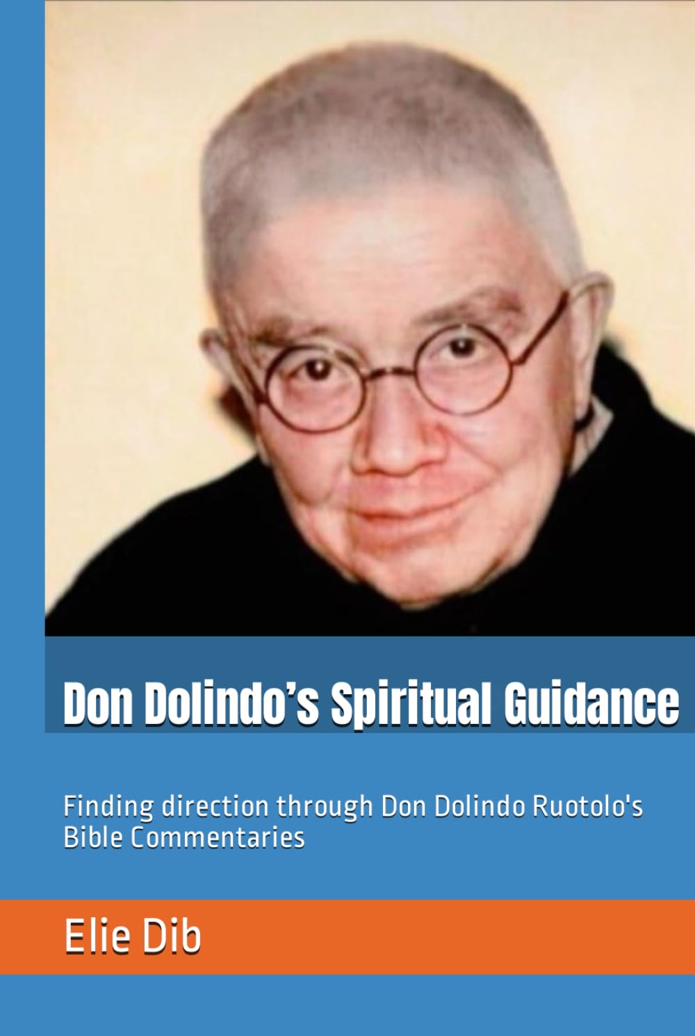 Don Dolindo’s Spiritual Guidance: Finding direction through Don Dolindo Ruotolo's Bible Commentaries