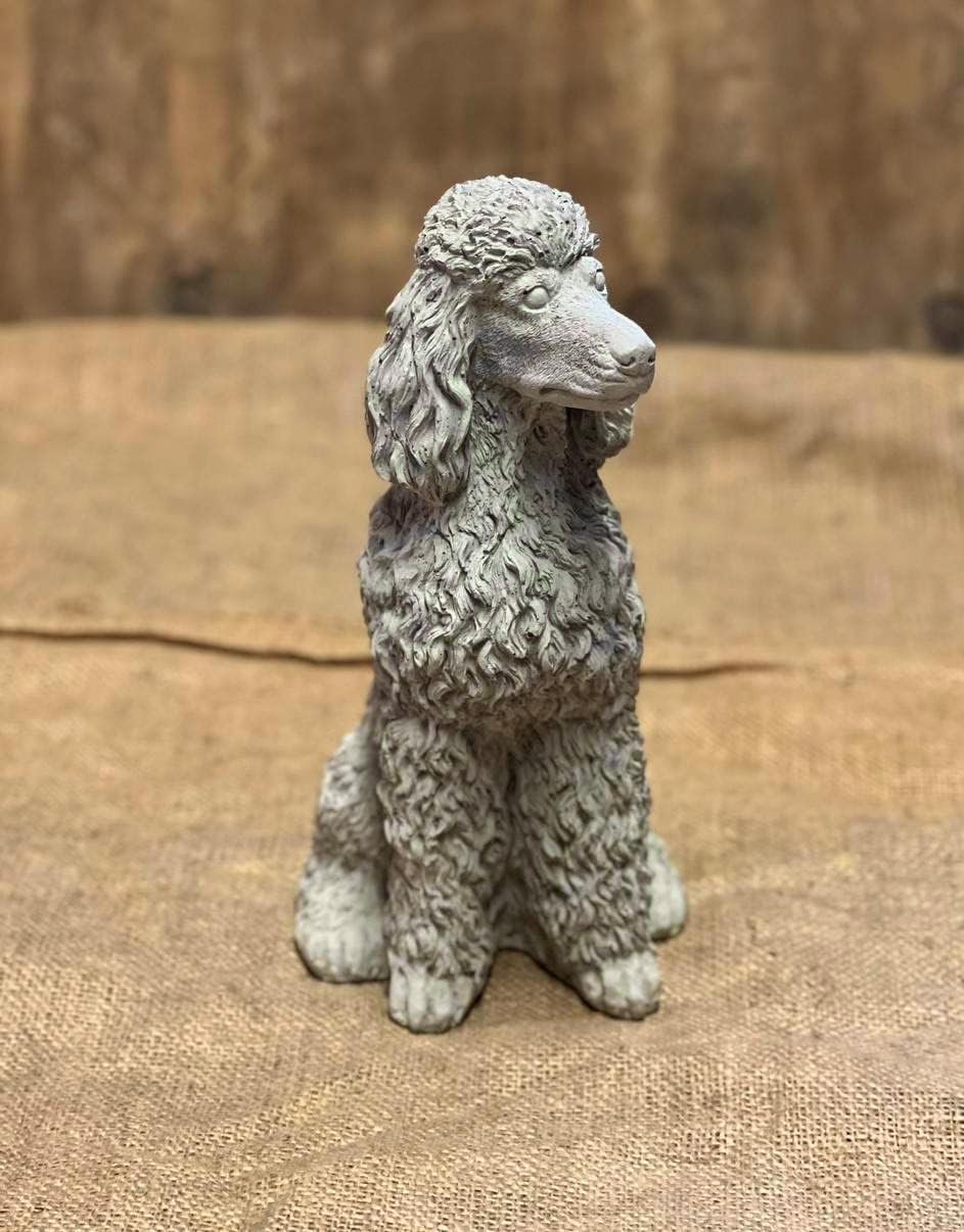 Stone Sitting Poodle Statue Concrete Resting Poodle Dog Figurine Porch Dog Memorial Sculpture