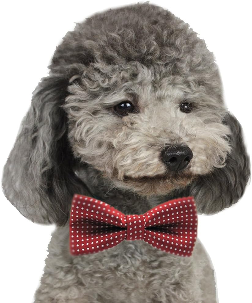 YOY Handcrafted Adorable Pet Bow Ties - 6-Pack Adjustable Neck Tie 10"-17" Polka Dots Bowties Dog Collar Neckties Kitty Puppy Grooming Accessories for Doggy Cat, 6 Colors