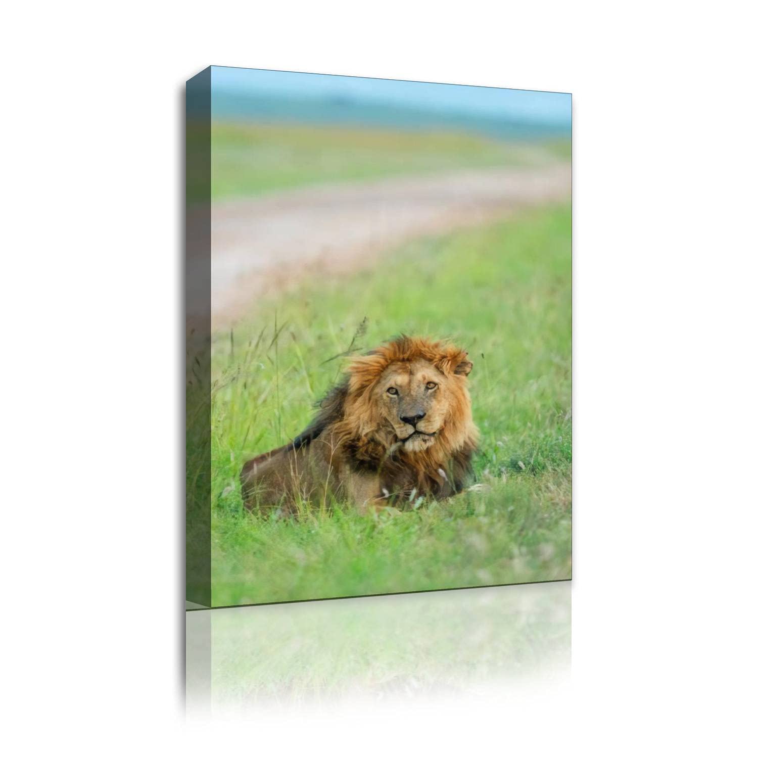 Canvas Wall Poster Artwork Picture Male lion sitting next to safari track at Masaimara Kenya Africa Art Painting Framed Print Bedroom Home Living Room Office Decoration Gift 23"X34"