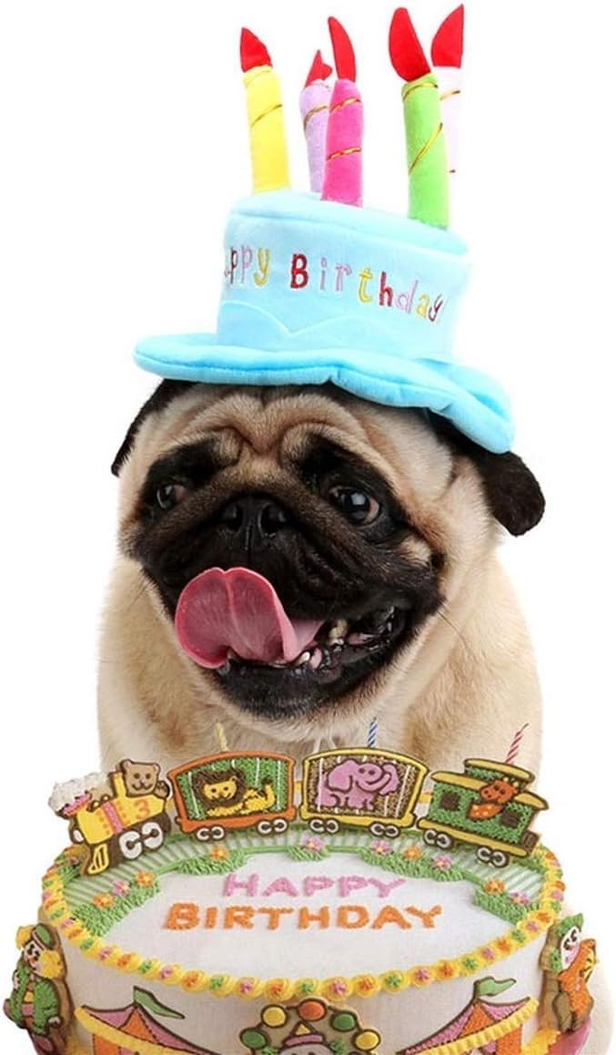 Generic 1park Cute Adorable Dog Cat Birthday Cake Hat Pet Cap Headwear Hat with 5 Color Candles Design Party Custom Accessory (One Size fits Most) (Pink)