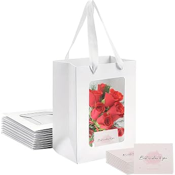 Pack of 10 White Gift Bags with Window Kraft Bags with Handles