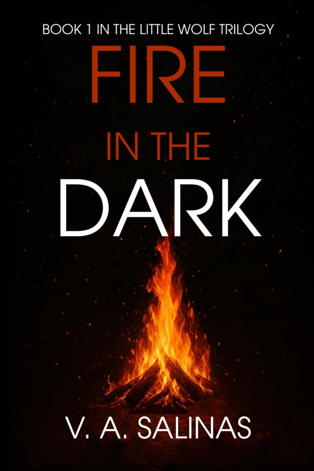 Fire in the Dark: 1 (The Little Wolf Trilogy)
