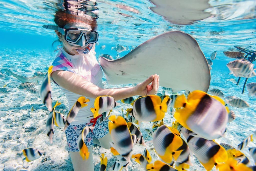 Zestaw do snorkelingu z fajką i okularami do nurkowania, wodoszczelna maska do nurkowania, ochrona przed zaparowaniem, z hartowanego szkła, z 3-kanałową fajką Premium Dry dla dorosłych