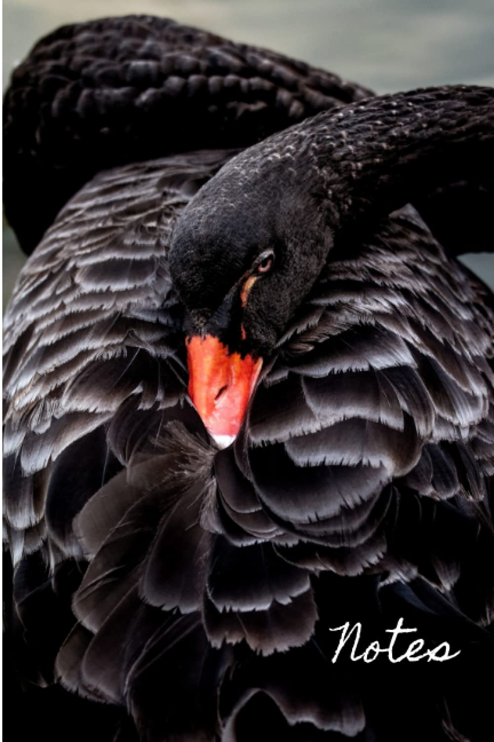 My Notes: Black Swan Journal: (Lined, 200 Page Notebook, Journal, Personal Diary)