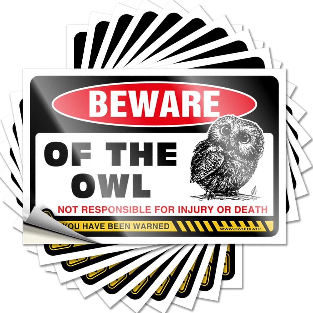 Beauty Room Decor Tattoo Wall | Beware of Owl Tall Texas Sticker Pack(8X12CM)