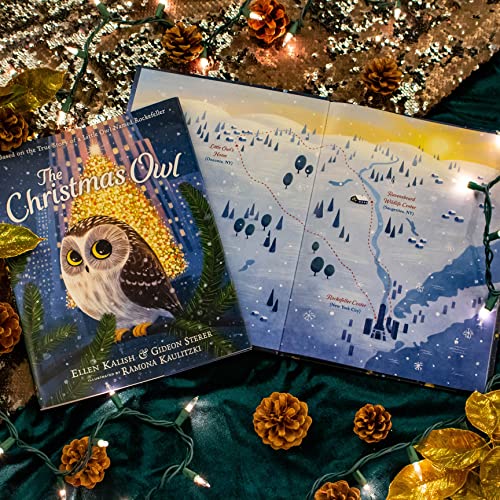 Health Management 9780316299121 The Christmas Owl: Based thumb #6