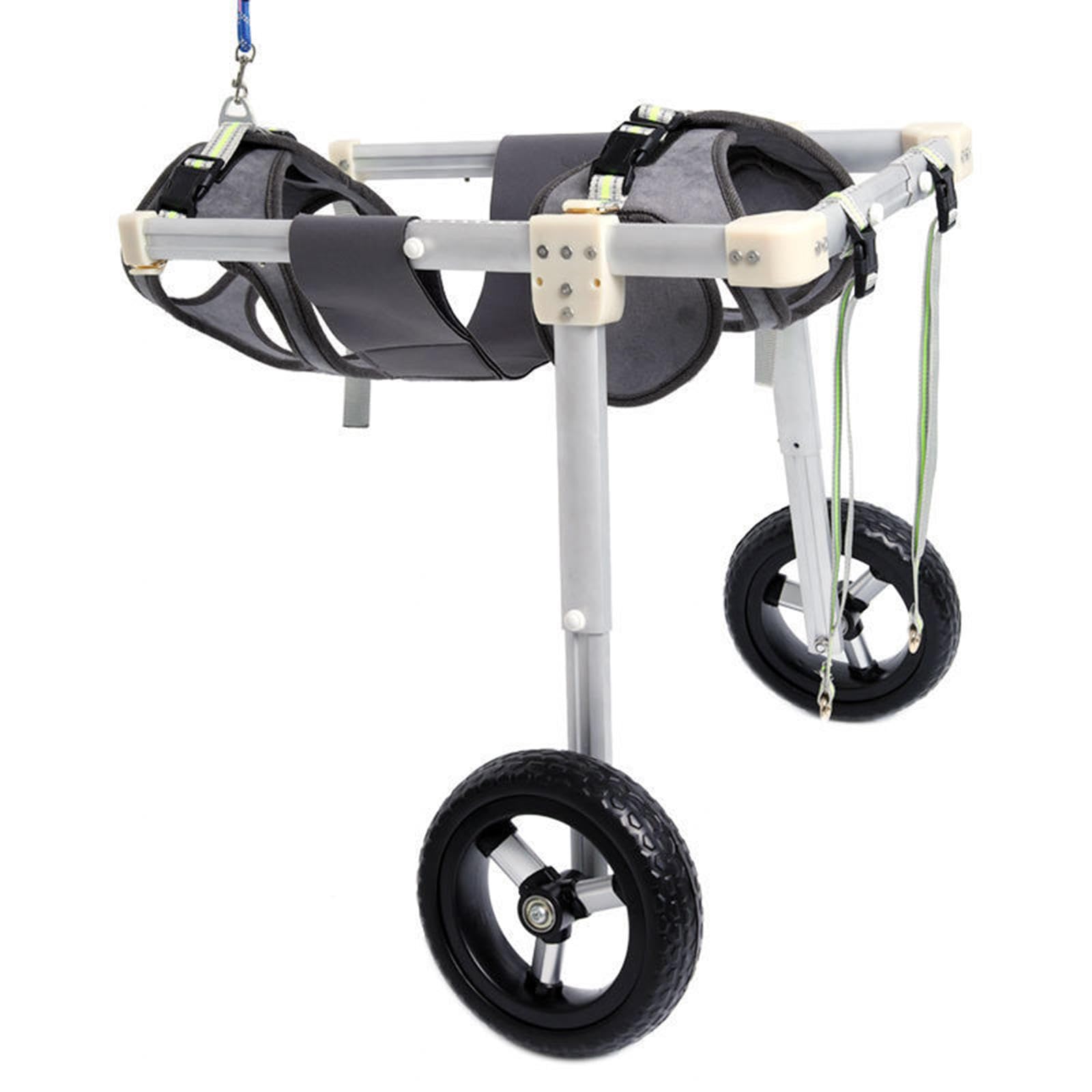 Silla de ruedas para perros XXL: ayuda de movilidad para volver a correr juntos