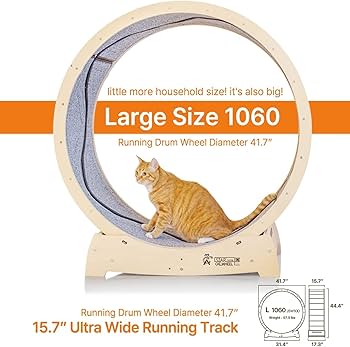M*E様 STAR CATWHEEL キャットホイール Lサイズ Amazon | スターキャットホイール、キャットトレッドミル、室内の猫用