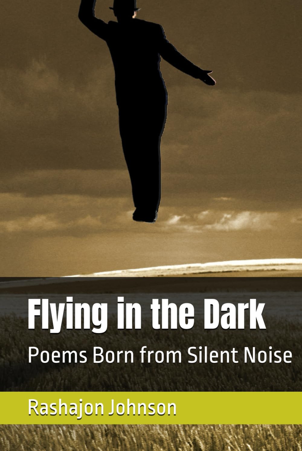 Flying in the Dark: Poems Born from Silent Noise
