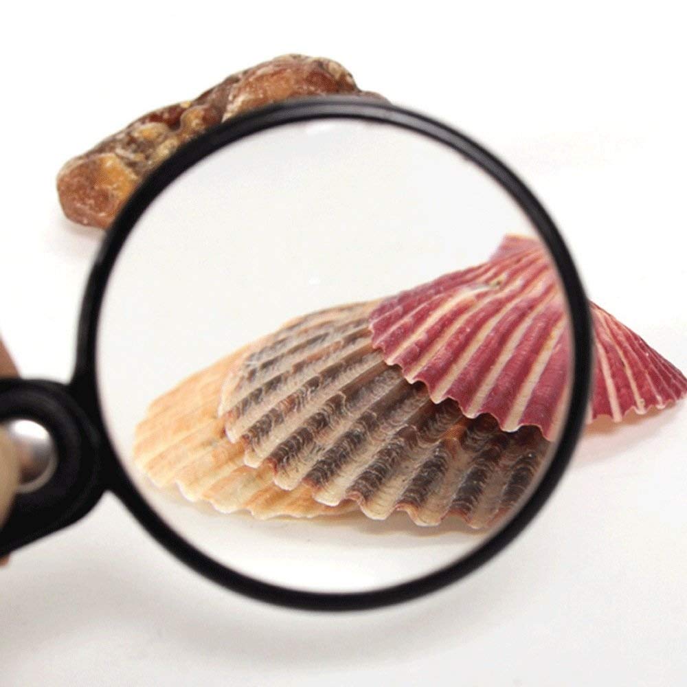 Lupa, przenośna składana lupa papierowa 60 mm do czytania i rozpoznawania