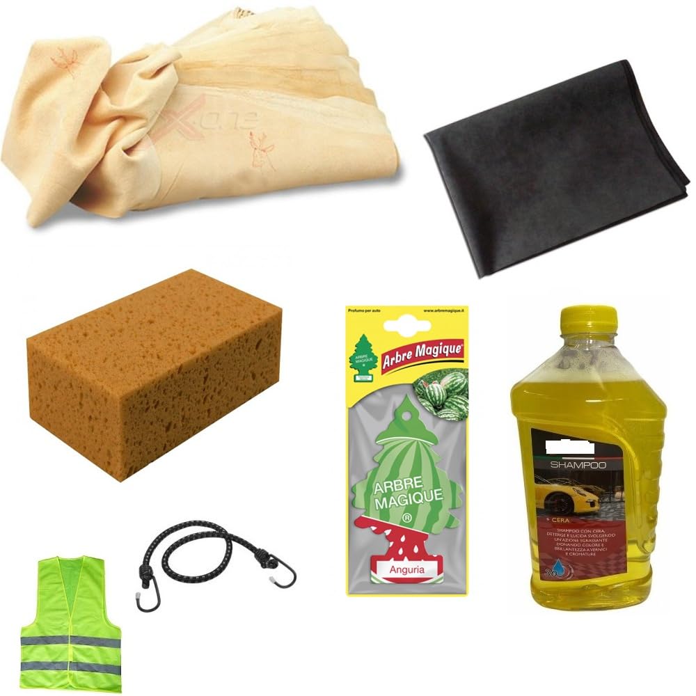 KOMPATIBEL MIT KIA Venga AUTOWASCHMITTEL HANDWASCHANLAGE ZUM ENTFETTEN, REINIGEN VON POLNISCHEN FAHRZEUGEN MIT Schwamm+Wildleder+Shampoo+WACHS