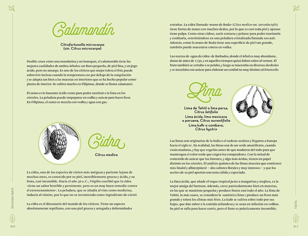 Botánica para cócteles: Las plantas que han dado origen a las mejores bebidas del mundo (Salamandra fun & food)