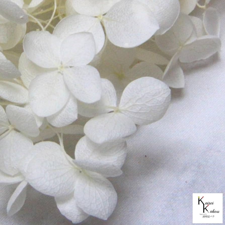 【いちごみるく】プリザーブド 紫陽花　花材 8色セット いちごみるく】プリザーブド 紫陽花 花材 8色セット