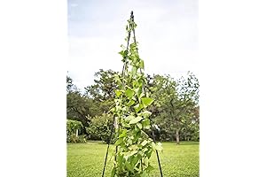 Extra Tall Garden Teepee Trellis: Support for Climbing Garden Vines