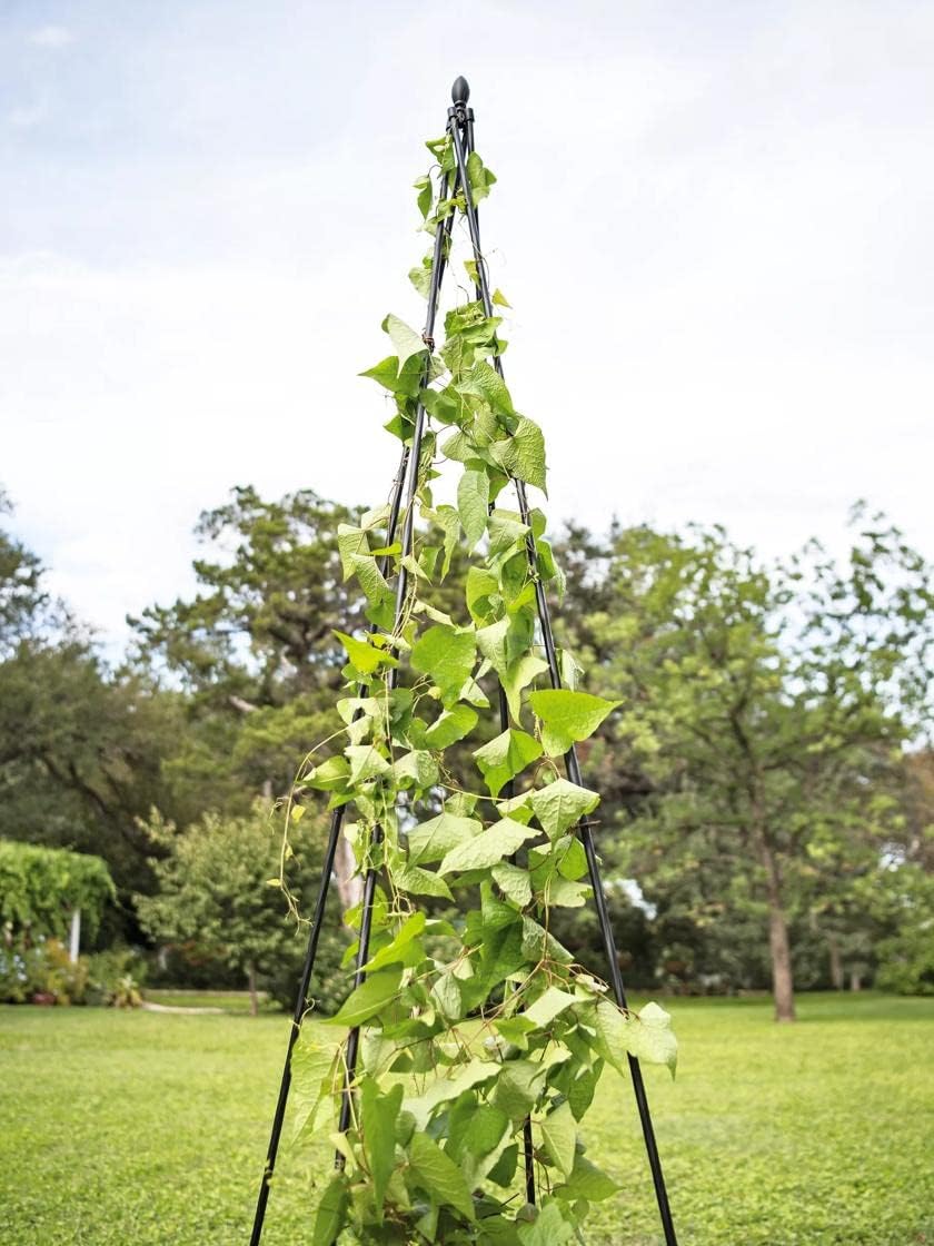Gardeners Supply Company Extra Tall Garden Teepee Trellis | Sturdy Plant Support for Peas, Beans, Squash, and Other Garden Climbing Vine Plants | Quick and Easy Setup - 87 H