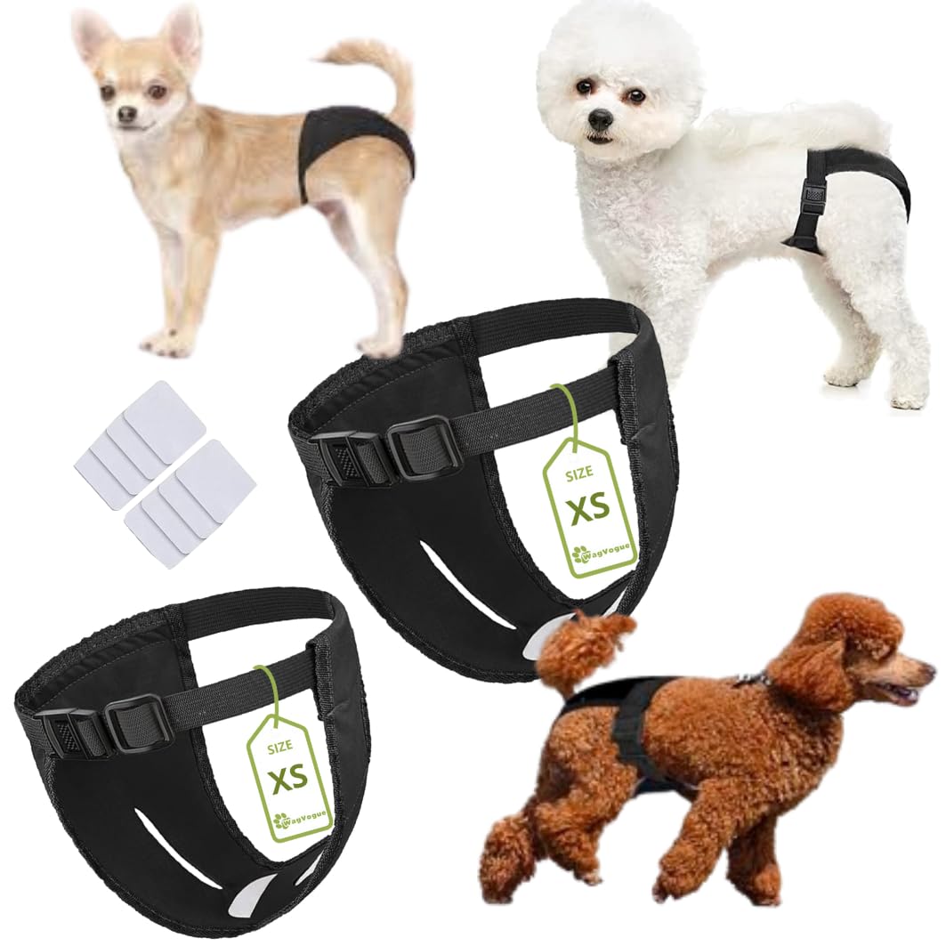Bragas Perras Menstruales. Braguitas Perro Celo Hembra. Braga Perro Celo Hembra. Bragas para Perros Celo Hembra- 2 uds Incluye 8 Toallas SANITARIAS, Talla XS, Negro