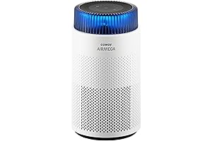 COWAY Air Purifiers: Breathe Easy with True HEPA Filtration