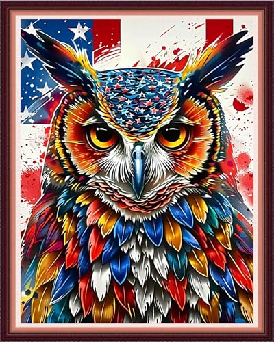 Image of Funxvoot Stamped Cross Stitch Kits for Beginners or Adults Embroidery Starter Patterns | DIY Printed Cross Stitch Kits Needlepoint for Adults or Kids 11CT-Magical Owl 16x20 inch