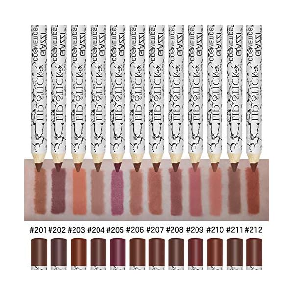 Lip-Liner-Pencil-Set12-Color-Matt-Smooth-Waterproof-lip-pencil-set-lip-pencil-set-Natural-Long-Lasting-Makeup-Lip-Liners NICEFACE Lip Liner Pencil Set,12 Color Matt Smooth Waterproof lip pencil set lip pencil set, Natural Long Lasting Makeup Lip Liners