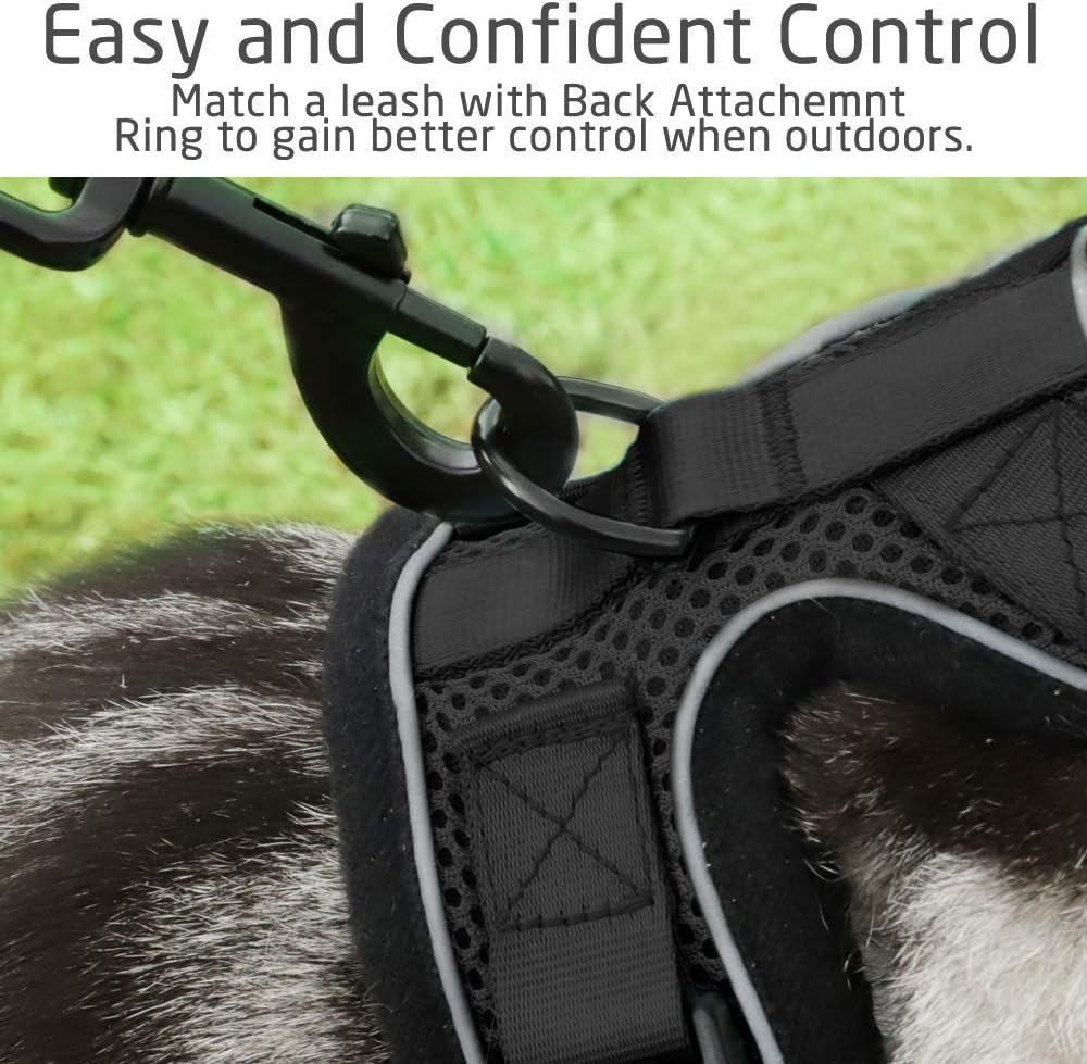 rabbitgoo Cat Harness Escape Proof, Adjustable Small Pets Vest Harnesses, No Choke No Pull Design for Best Safety and Comfort - Soft Mesh Kitten Puppy Harness with Reflective Strips, Black