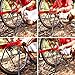 Xoeryoy Bike Stand for Maintenance Foldable Bike Repair Stand Aluminum Floor Portable Height Adjustable Repair for Indoor Outdoor Use &