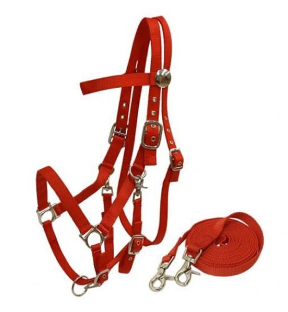Heavy Duty Soft Nylon Horse Size Halter Browband Bridle Combo Trigger Snaps Cheeks & Reins (Red)