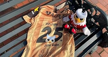 Amazon.co.jp: コンサドーレ札幌 ドーレくん 25周年記念