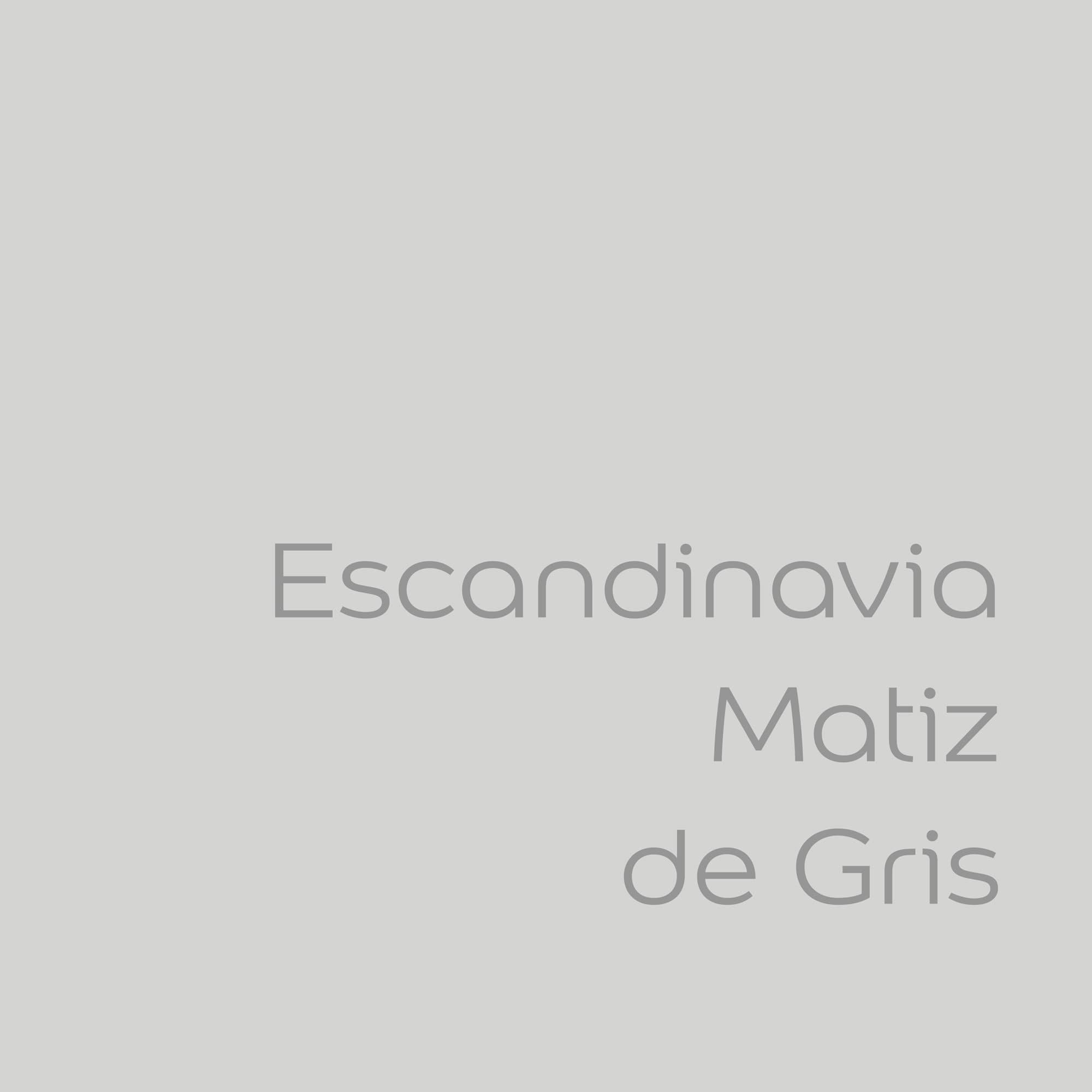 Bruguer Tester Colores del Mundo Pintura para paredes monocapa Escandinavia Matiz de Gris