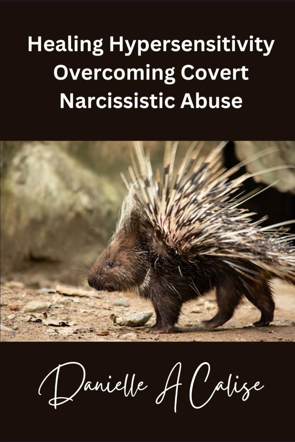 Healing Hypersensitivity Overcoming Covert Narcissistic Abuse