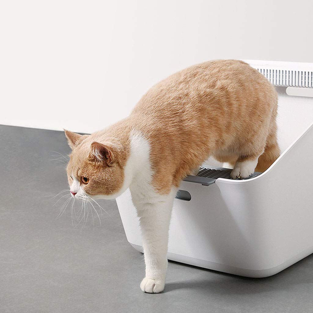 Arenero Autolimpiable para Gatos, Caja de Arena Grande con Filtro de Rejilla, Fácil de Limpiar Bandeja Higiénica