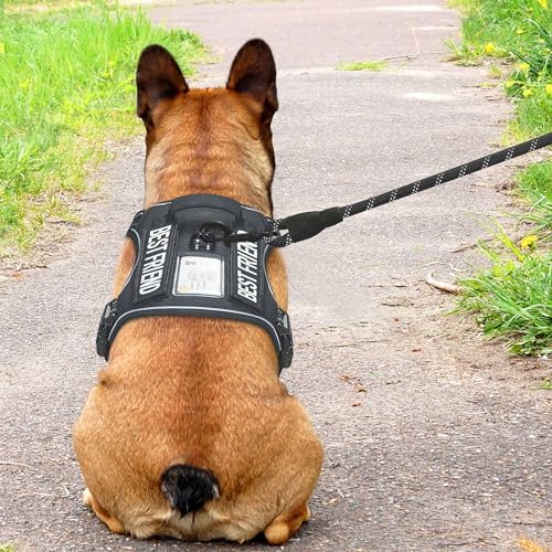 Haapaw Heavy Duty Taktisches Hundegeschirr für mittelgroße Hunde, kein Zug Verstellbares Haustiergeschirr Reflektierendes Service Training Einfache Steuerung Haustierweste Militär Arbeiten