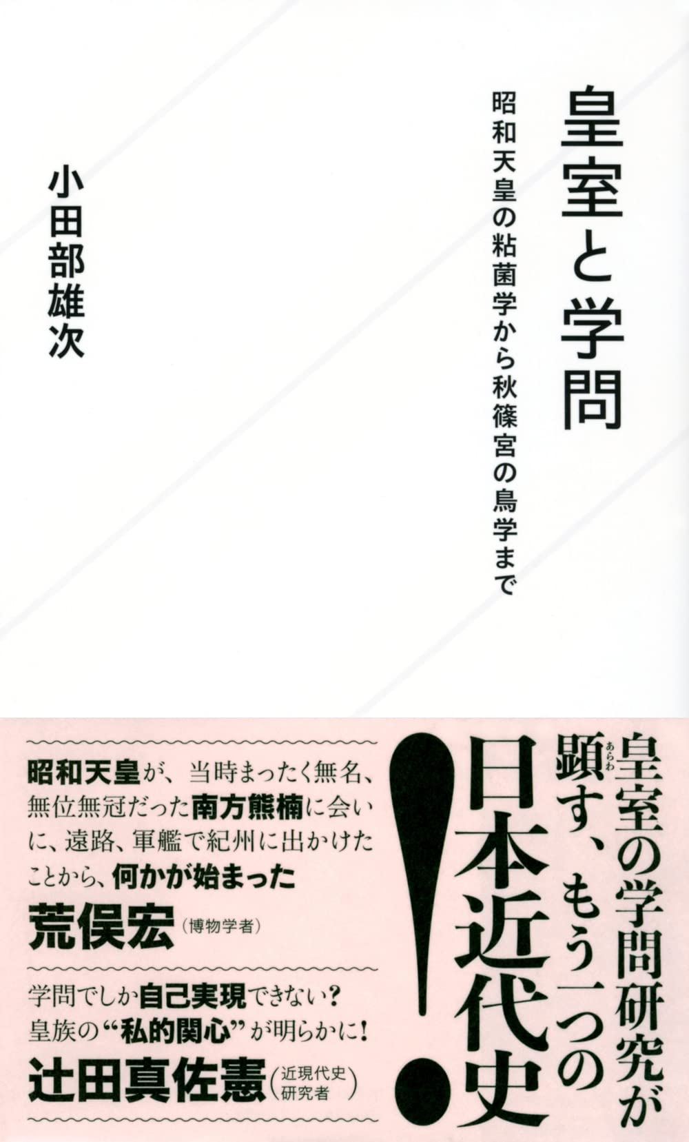 Amazon.co.jp: 小田部雄次: 本、バイオグラフィー、最新アップデート