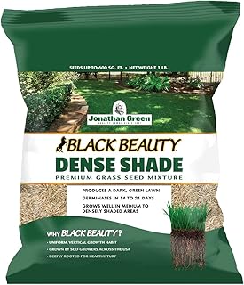 Jonathan Green (10622) Black Beauty Dense Shade Grass Seed - Cool Season Lawn Seed (1 lb)