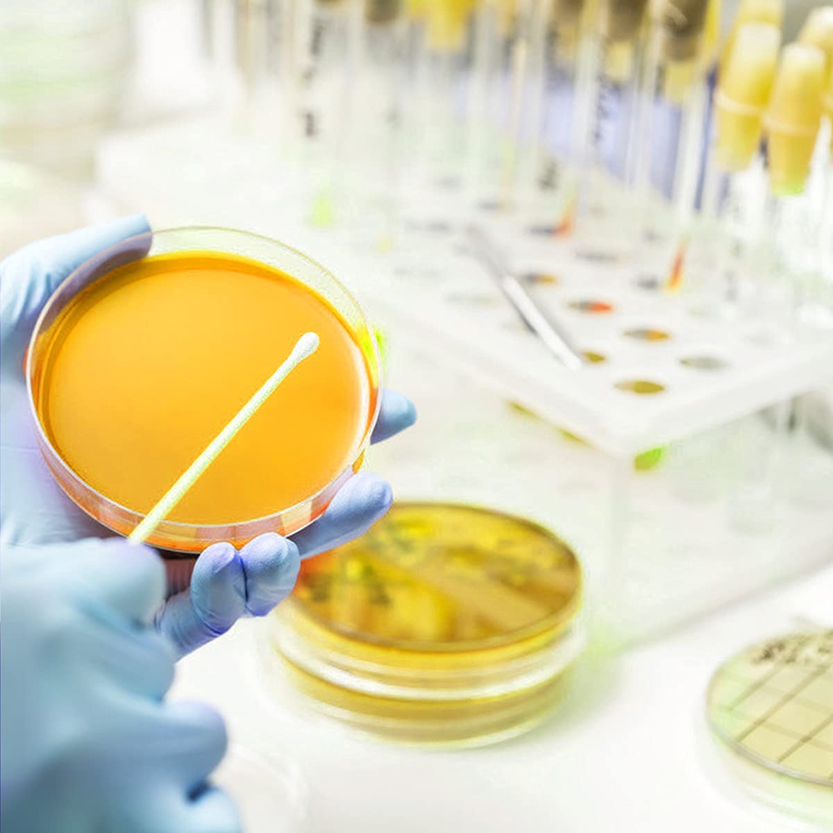 Buy Revanak Becteria Science KitTop Science Fair Project Kit