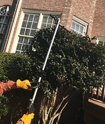 26CC 2 Cycle 4 in 1 Multi Tool with Grass Trimmer Attachment, Hedge Trimmer Attachment , Pole Saw Attachment and Brush Cutter Blade with Bonus Harness