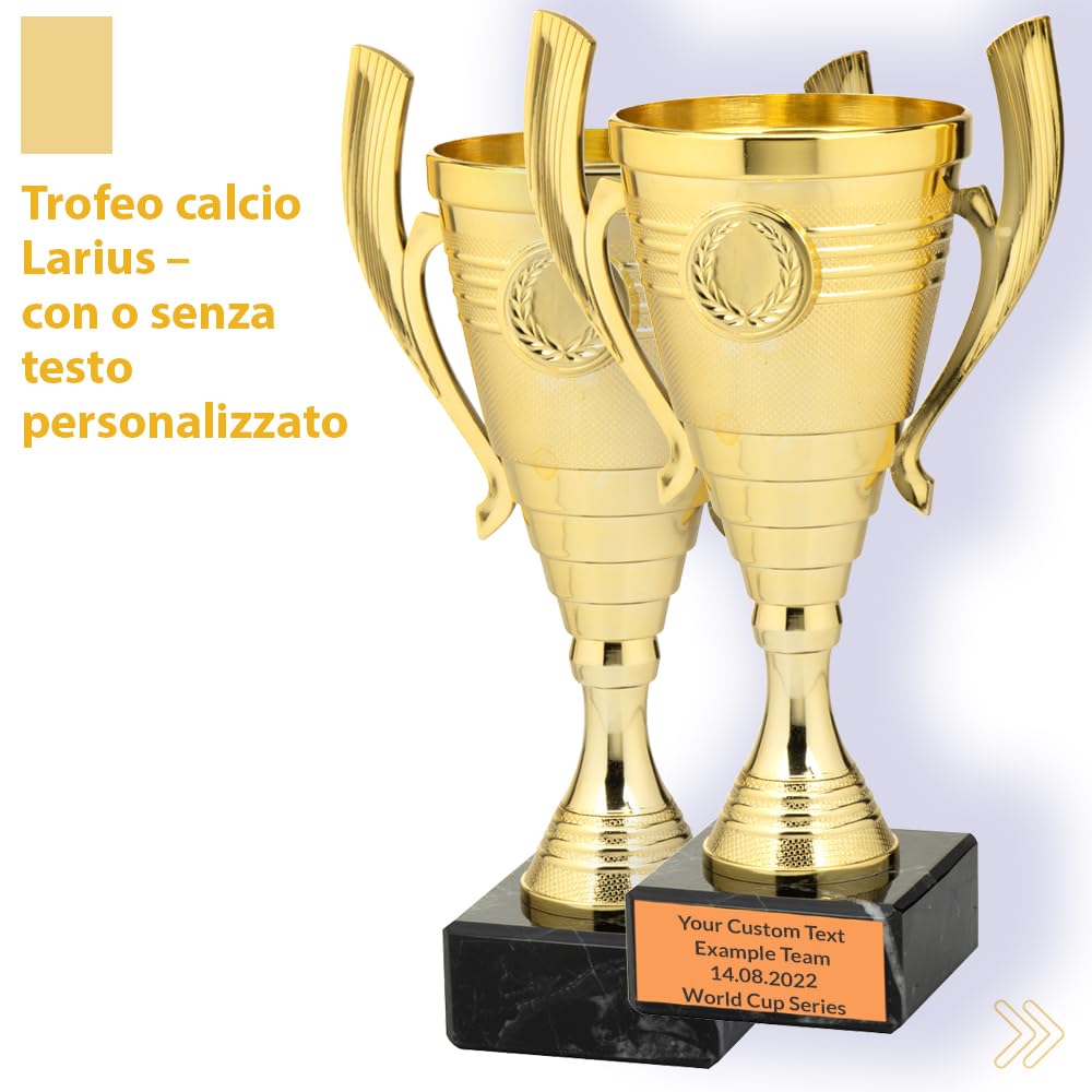 Larius Coppa (22 cm, 415 g), elegante trofeo universale con base in marmo, personalizzabile, ideale per sport, scuola, concorsi e premi - B3