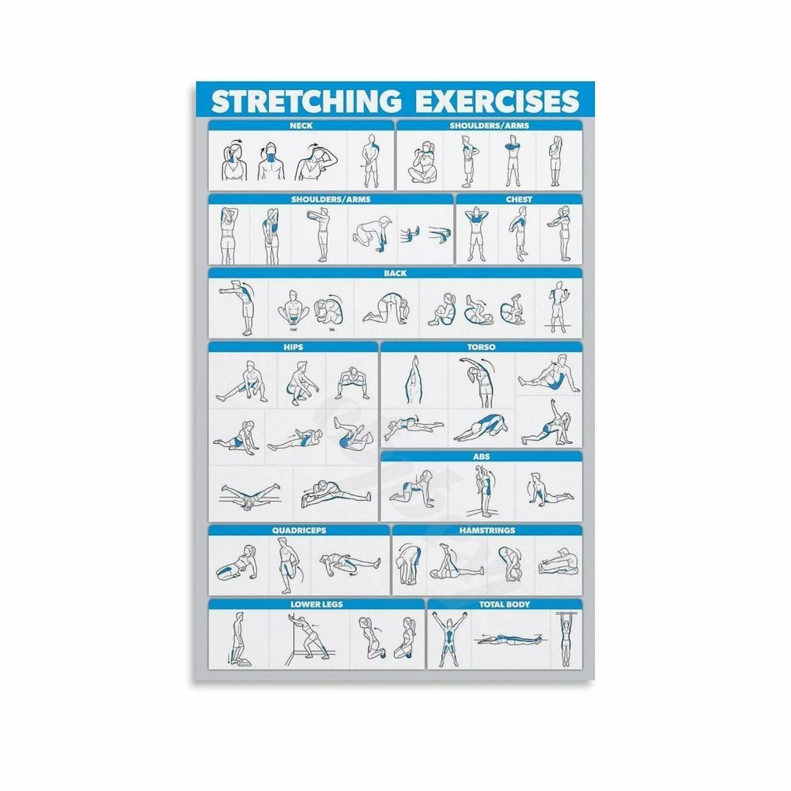 Affiche d'exercices de flexibilité et poster d'étirement pour gym