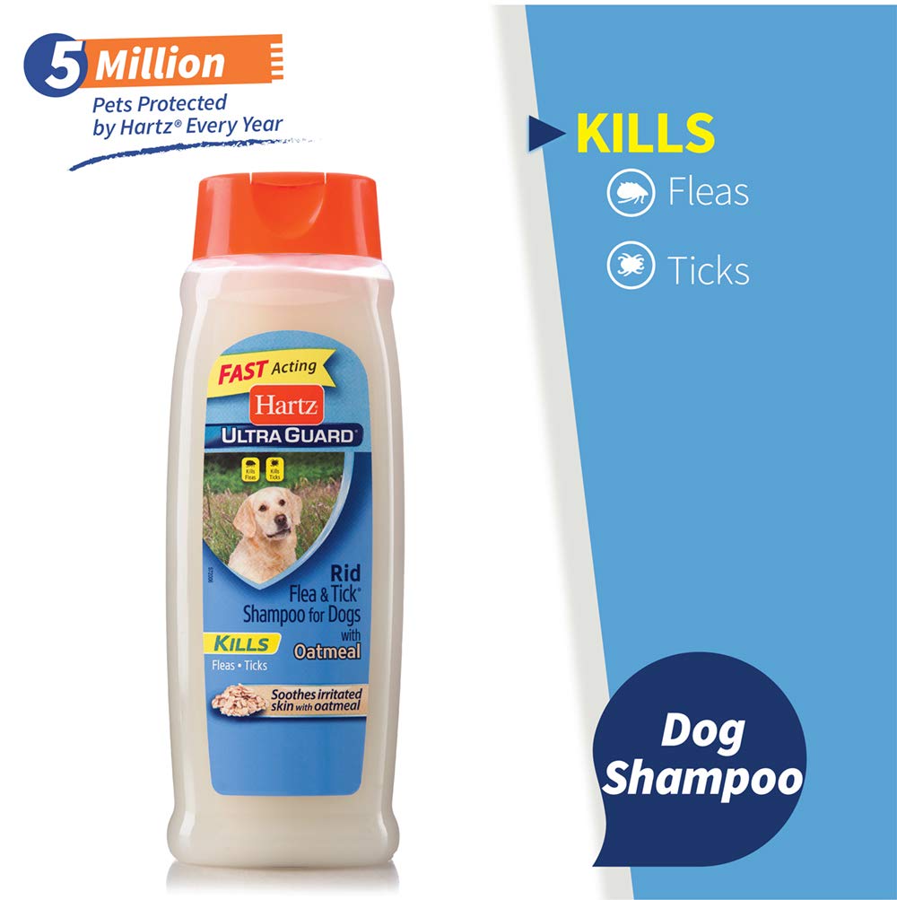 10 Best Dog Flea Shampoos 2023 Reviews & Ratings