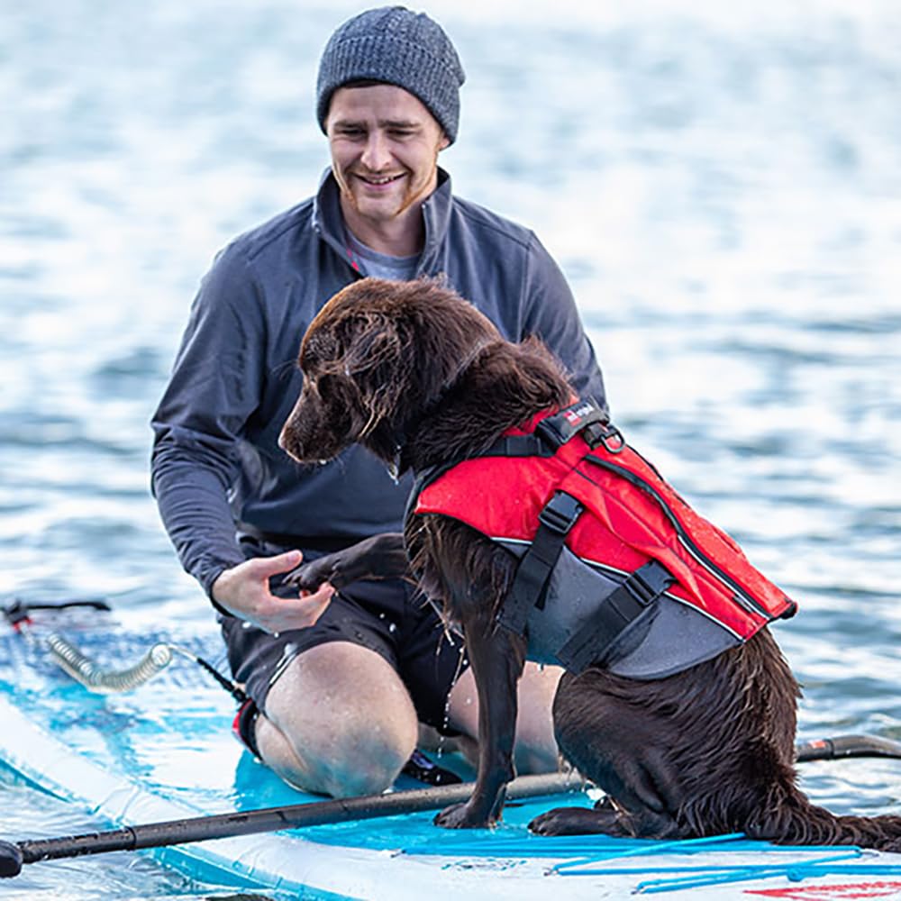 Gilet de sauvetage pour chien,gilet de sauvetage réglable pour chiot