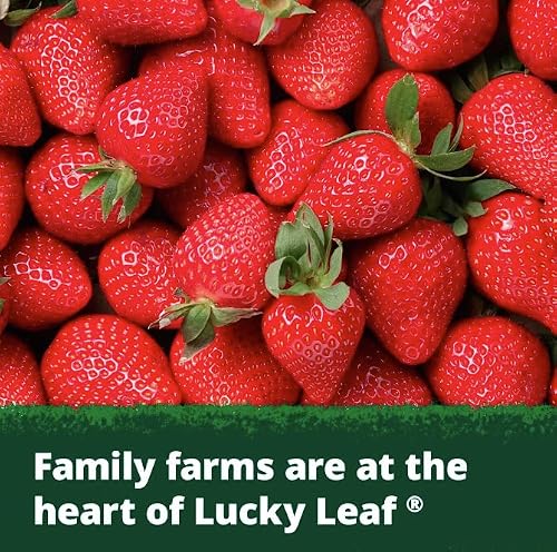 Lucky Leaf 4-Pack of Premium Strawberry Rhubarb Pie Filling or Topping 21 oz + 1 Utility Freebie by Lavinia Essentials Brand