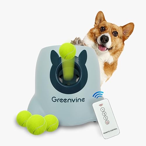 Lanzador automático de bolas para perros, lanzador de bolas interactivo, máquina de traerlo con 6 bolas incluidas