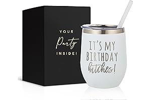 Birthday Bitch Wine Tumbler- 12oz Stainless Steel Insulated Wine Tumbler For Women