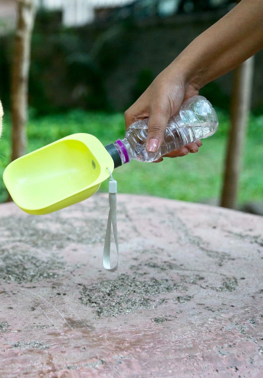 Your Buddy Pet Water Bottle Cup For Dogs - Can Attach To Any Water Bottle, Dog Travel Water Bottle Cap, Portable Dog Water Bottle For Walking,Lightweight & Convenient For Travel - Green (B0BV9Z2R6F) Amazon Price History, Amazon Price Tracker