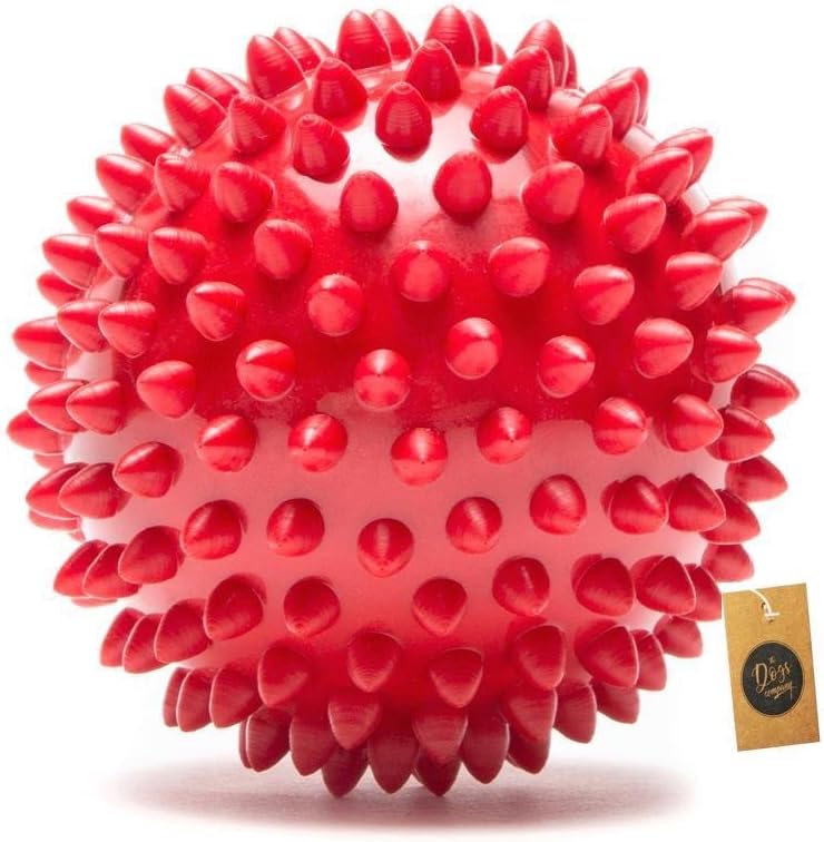 The Dogs Company The Pets Company Natural Rubber Spiked Ball Dog Chew Toy, Puppy Teething Toy, 3 Inches