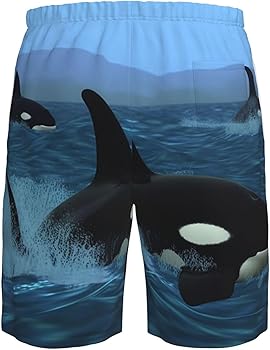 Men's Swim Trunks Killer Whales Swim Along Quick Dry Board Shorts