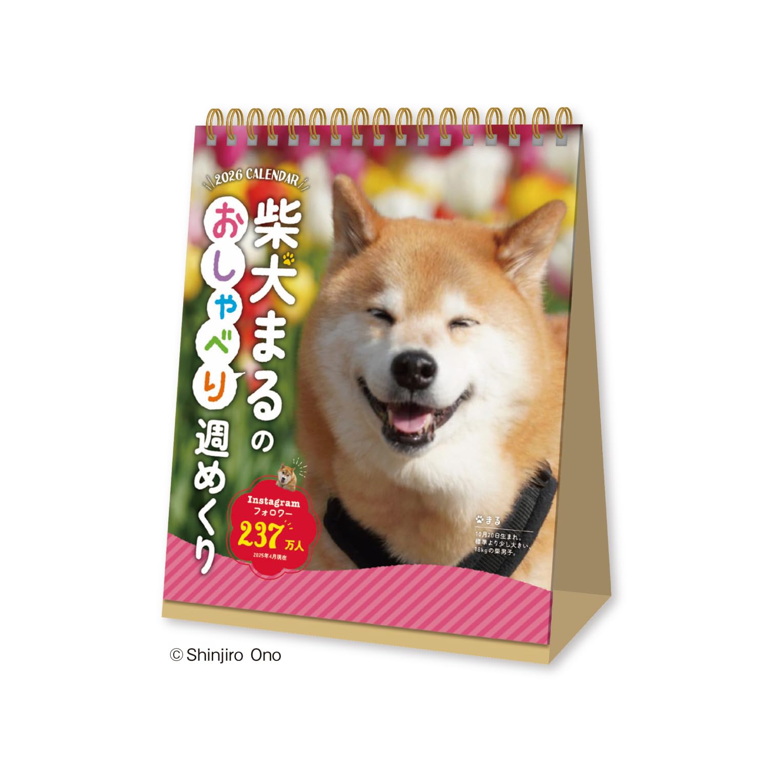 新日本カレンダー 2026年 カレンダー 卓上 柴犬まるのおしゃべり週めくり NK4600